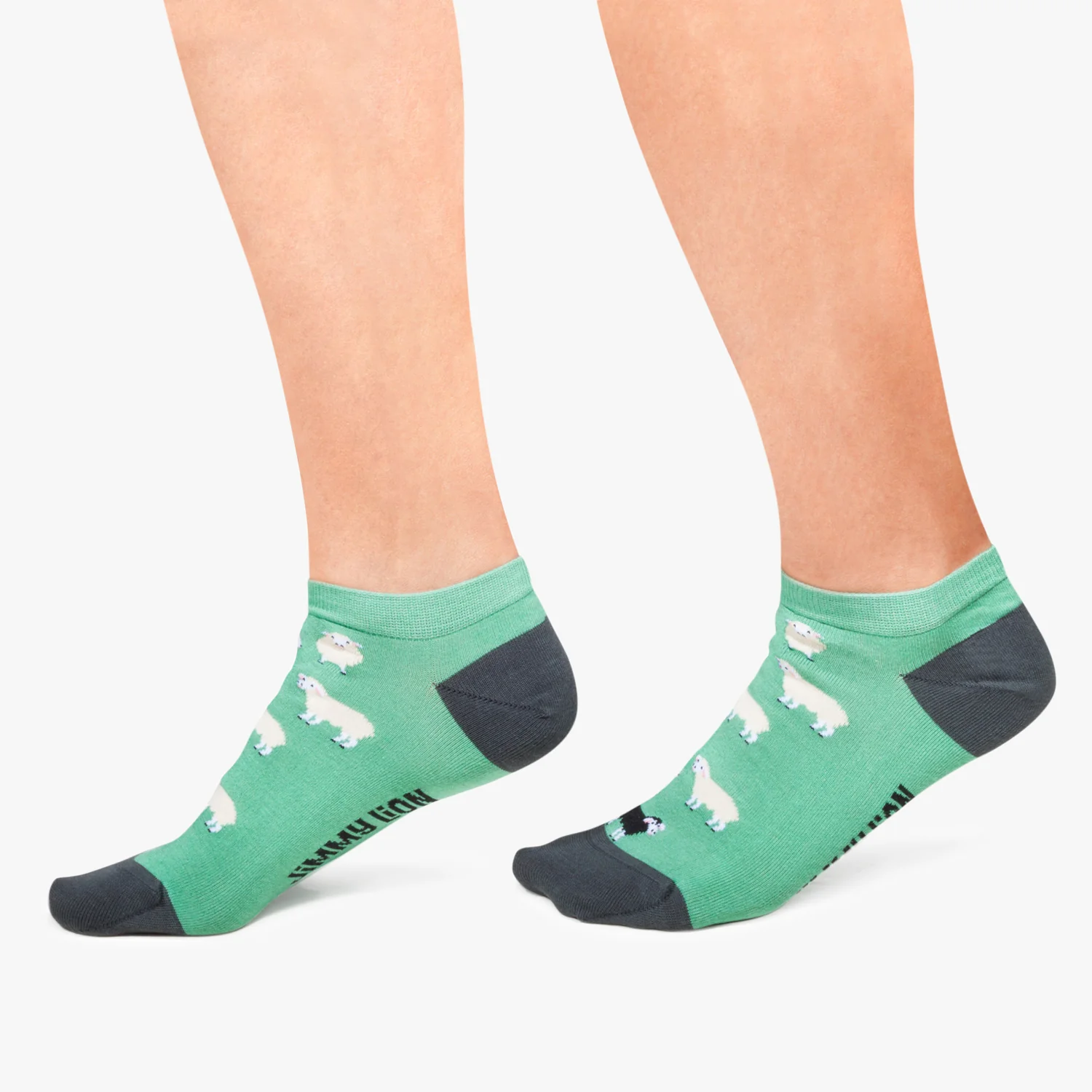 Ankle Black Sheep - Turquoise - Image 3