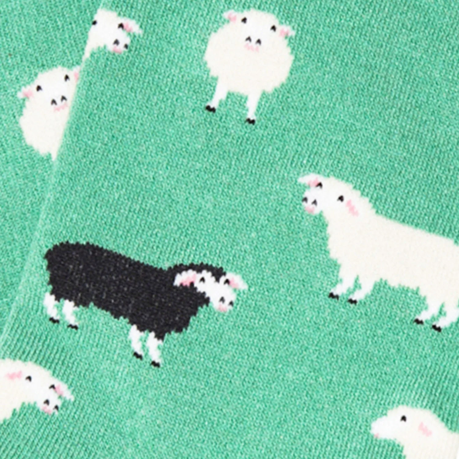 Ankle Black Sheep - Turquoise - Image 4