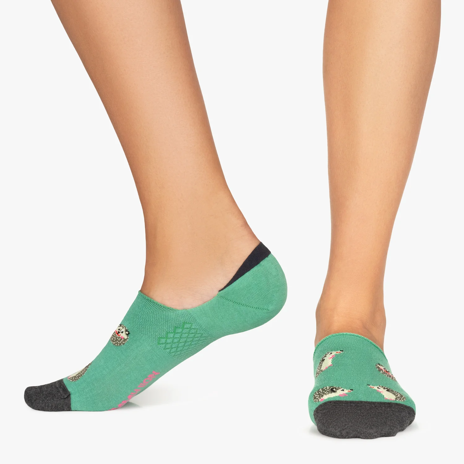 Hedgehog No Show - Turquoise - Image 3