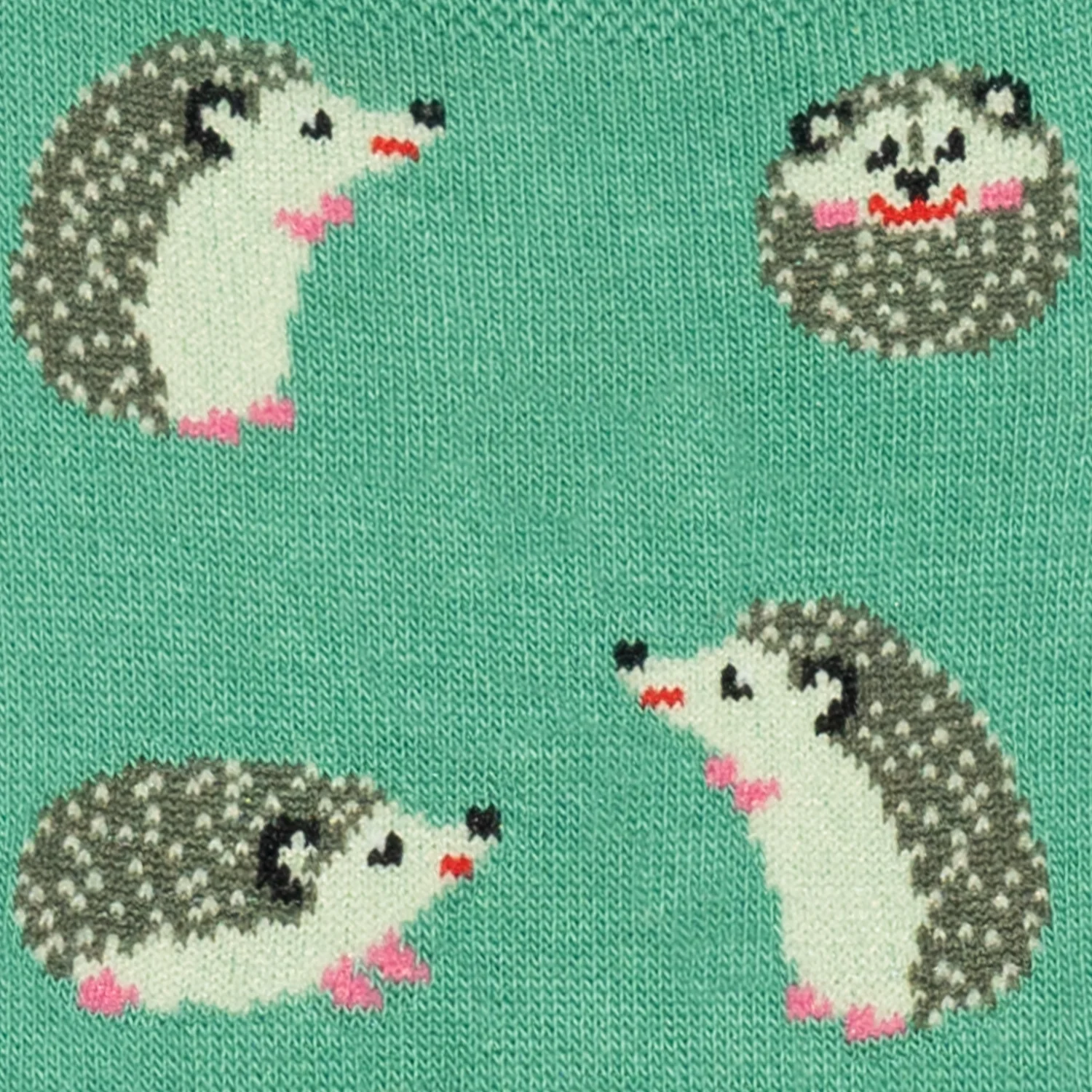 Hedgehog No Show - Turquoise - Image 4