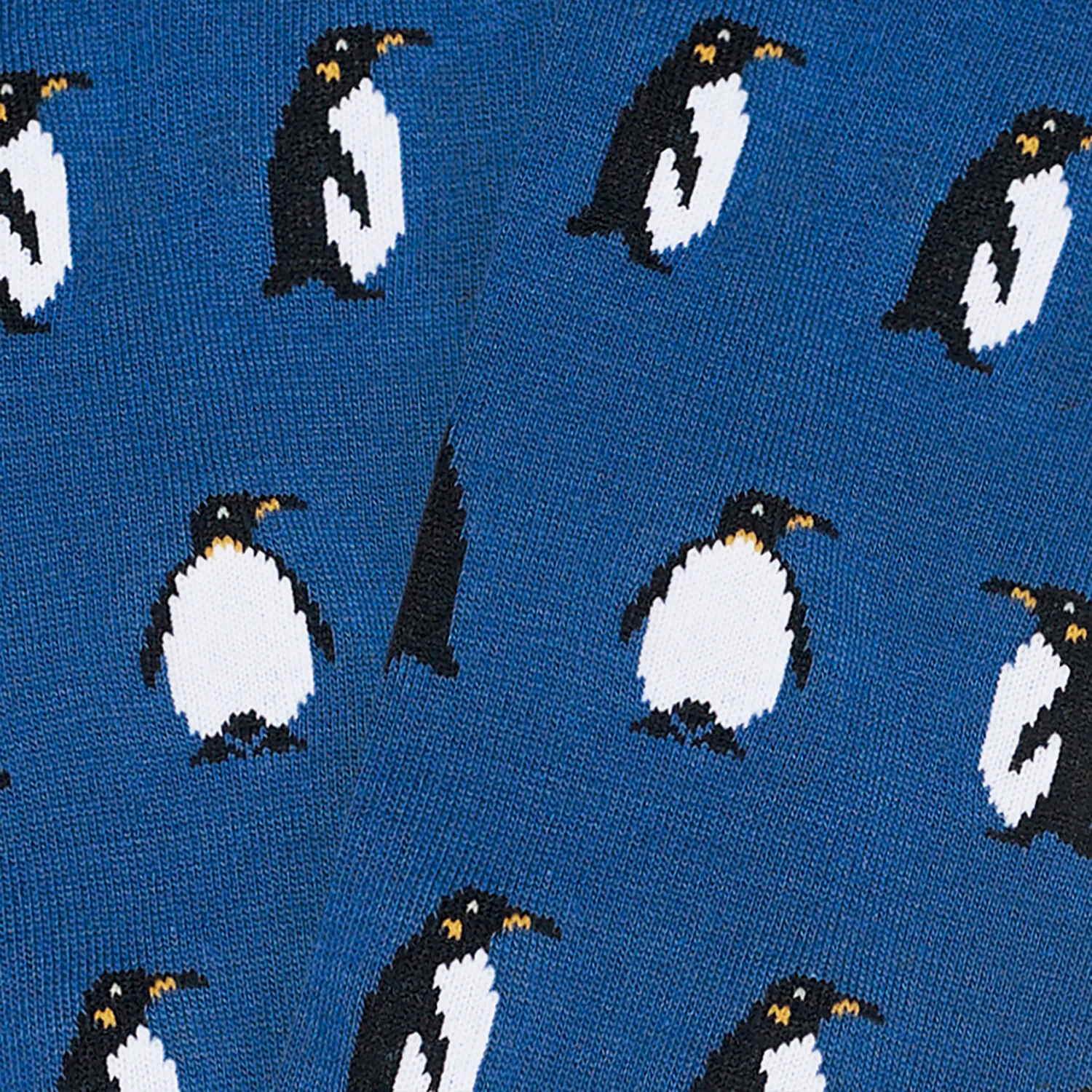 Penguins - Blue - Image 4