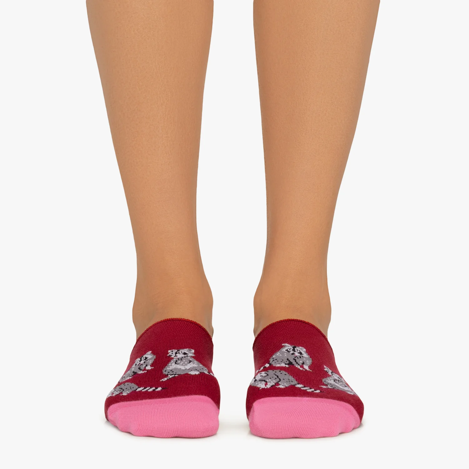 Racoons No Show - Red - Image 3